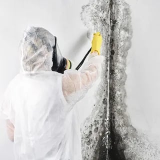 Mould Remediation and Restoration