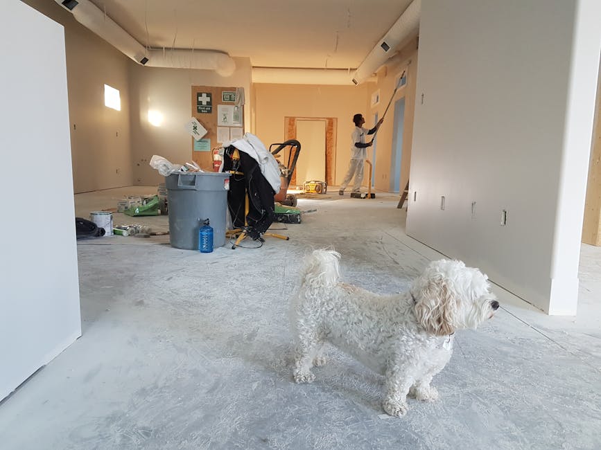 Essential Considerations for Home Renovation Projects in Northeast Mississauga: Navigating Local Regulations and Design Trends